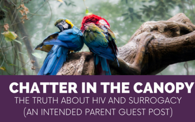 Chatter in the Canopy: The Truth About HIV and surrogacy